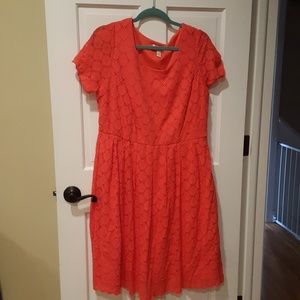 Dress Barn Orange eyelet Dress 1X